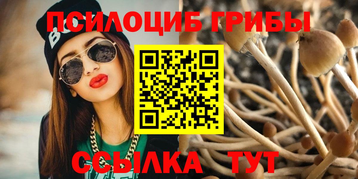 Псилоцибиновые грибы Cubensis Шадринск